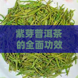 紫芽普洱茶的全面功效与作用：改善健、调节代谢以及提神醒脑的综合指南