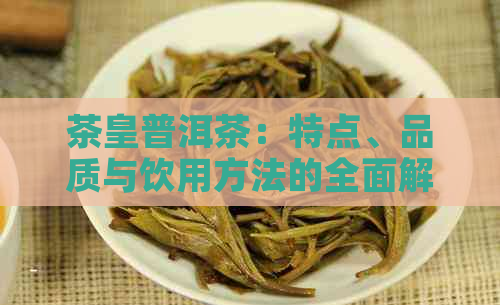 茶皇普洱茶：特点、品质与饮用方法的全面解析