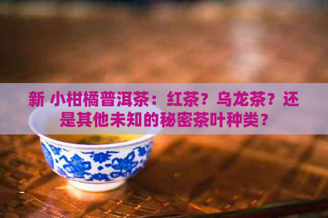 新 小柑橘普洱茶：红茶？乌龙茶？还是其他未知的秘密茶叶种类？