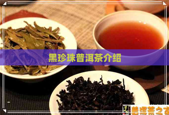 黑珍珠普洱茶介绍