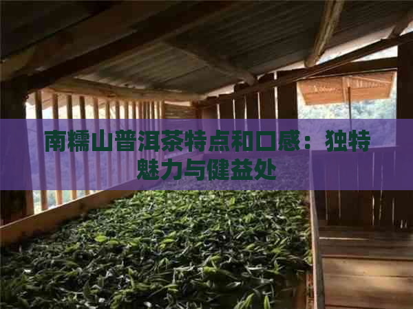 南糯山普洱茶特点和口感：独特魅力与健益处