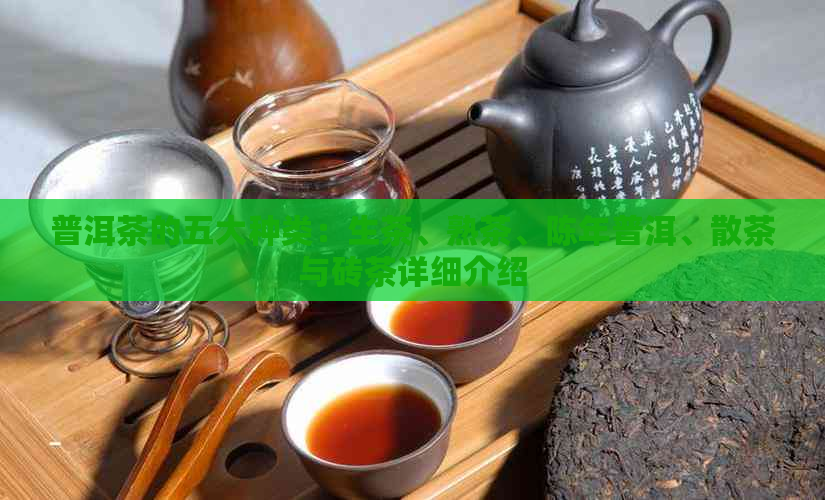 普洱茶的五大种类：生茶、熟茶、陈年普洱、散茶与砖茶详细介绍