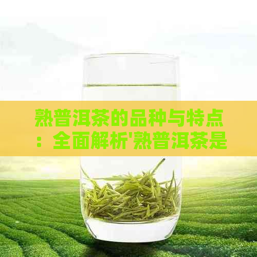 熟普洱茶的品种与特点：全面解析'熟普洱茶是什么样的'