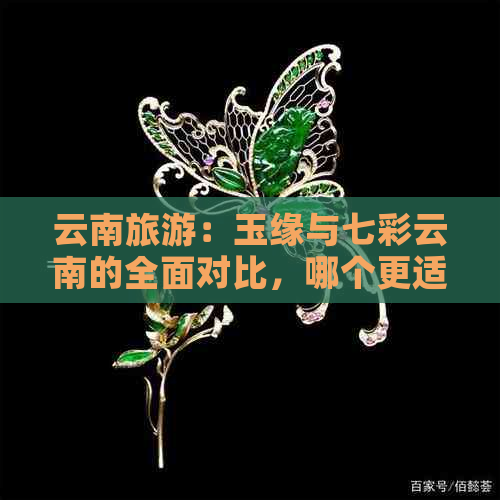 云南旅游：玉缘与七彩云南的全面对比，哪个更适合你？