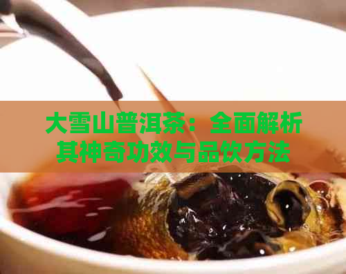 大雪山普洱茶：全面解析其神奇功效与品饮方法