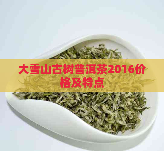 大雪山古树普洱茶2016价格及特点