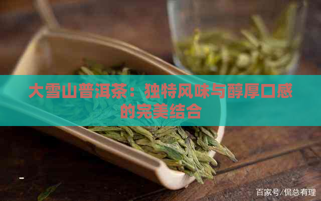 大雪山普洱茶：独特风味与醇厚口感的完美结合