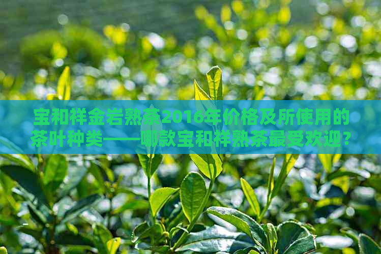 宝和祥金岩熟茶2016年价格及所使用的茶叶种类——哪款宝和祥熟茶更受欢迎？