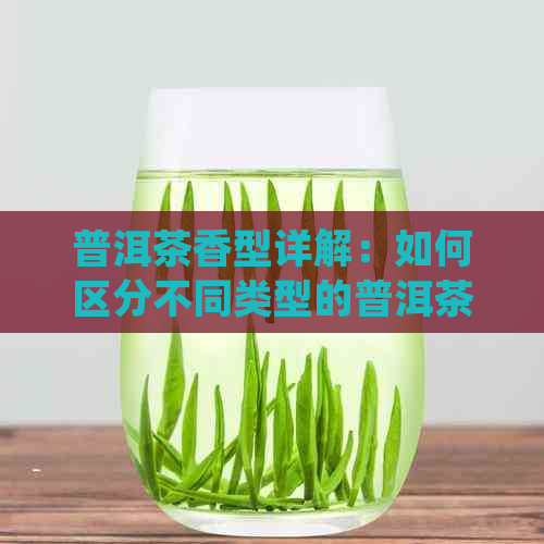 普洱茶香型详解：如何区分不同类型的普洱茶香气及品尝方法