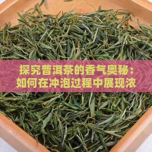 探究普洱茶的香气奥秘：如何在冲泡过程中展现浓香味