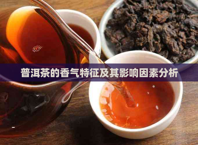 普洱茶的香气特征及其影响因素分析