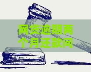 网贷逾期两个月还款问题解决策略