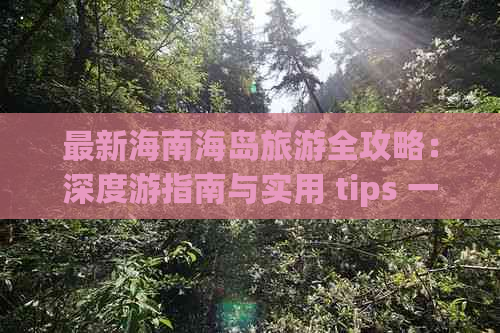 最新海南海岛旅游全攻略：深度游指南与实用 tips 一网打尽