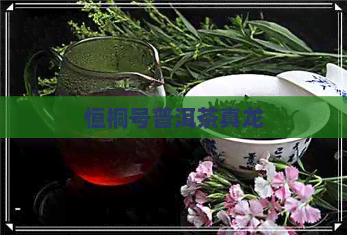 恒桐号普洱茶真龙