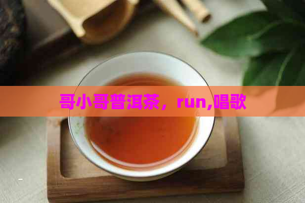 哥小哥普洱茶，run,唱歌