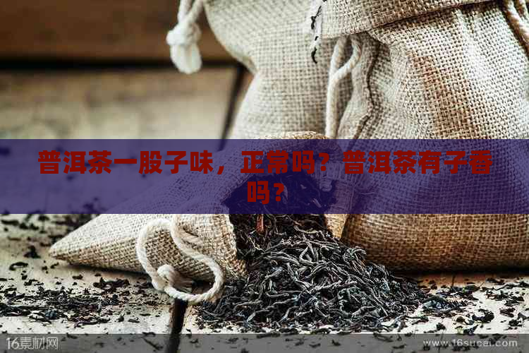 普洱茶一股子味，正常吗？普洱茶有子香吗？