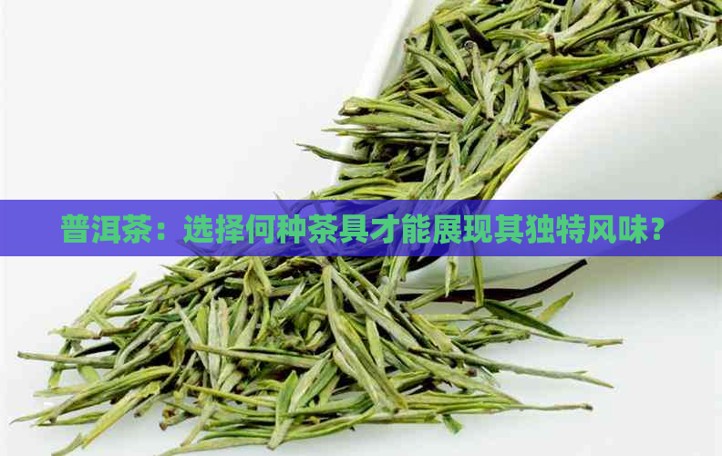 普洱茶：选择何种茶具才能展现其独特风味？