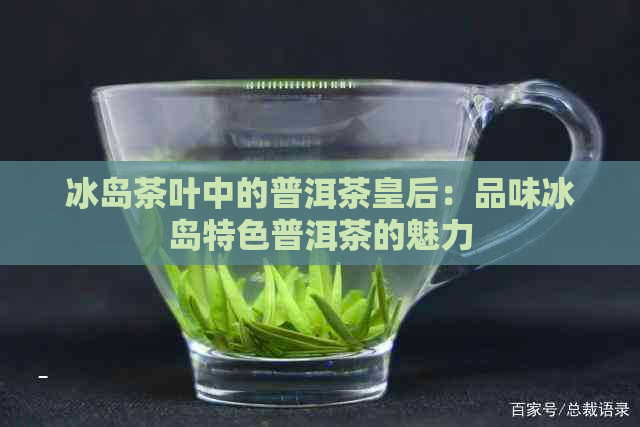 冰岛茶叶中的普洱茶皇后：品味冰岛特色普洱茶的魅力