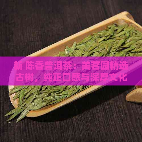 新 陈香普洱茶：美茗园精选古树，纯正口感与深厚文化底蕴的完美融合