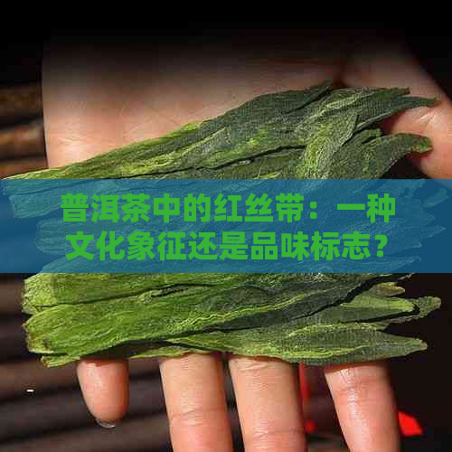 普洱茶中的红丝带：一种文化象征还是品味标志？