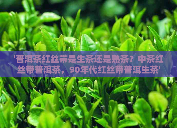 '普洱茶红丝带是生茶还是熟茶？中茶红丝带普洱茶，90年代红丝带普洱生茶'