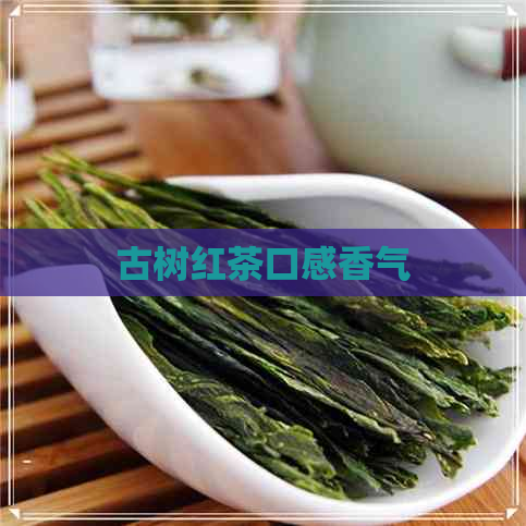 古树红茶口感香气