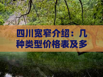 四川宽窄介绍：几种类型价格表及多少钱一盒一包品质详情