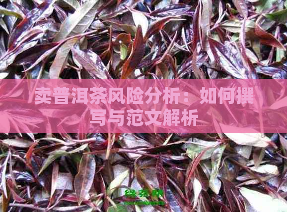 卖普洱茶风险分析：如何撰写与范文解析