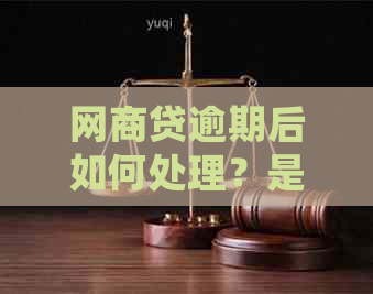 网商贷逾期后如何处理？是否可以只还本金？还款方案全面解析