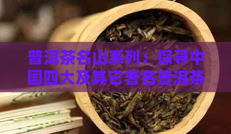 普洱茶名山系列：探寻中国四大及其它著名普洱茶产区的魅力与特点