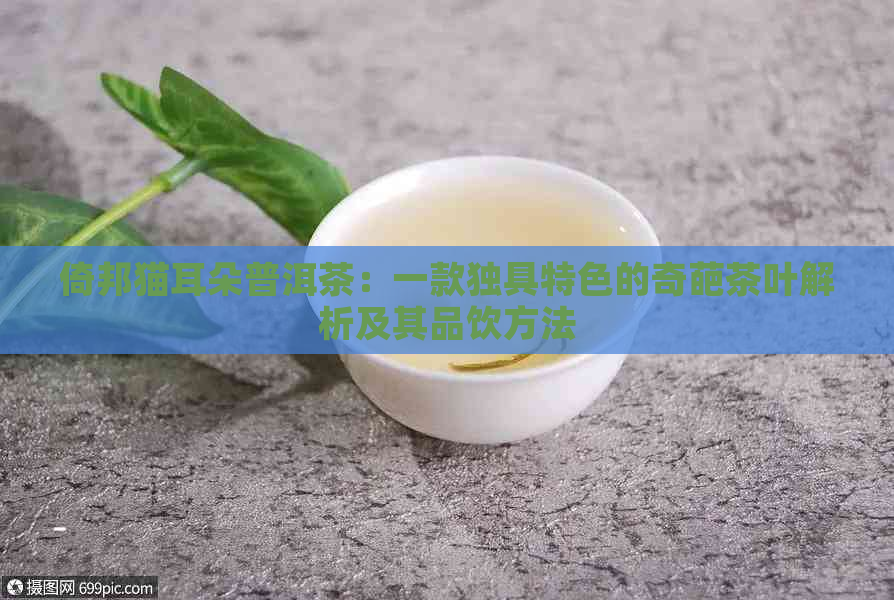 倚邦猫耳朵普洱茶：一款独具特色的奇葩茶叶解析及其品饮方法