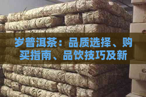 岁普洱茶：品质选择、购买指南、品饮技巧及新年送礼建议