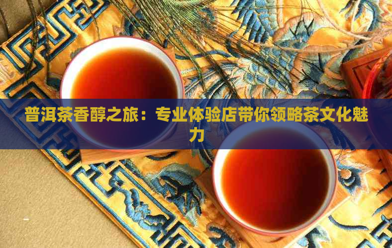 普洱茶香醇之旅：专业体验店带你领略茶文化魅力