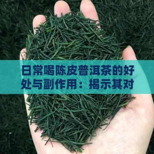 日常喝陈皮普洱茶的好处与副作用：揭示其对健的益处与潜在影响