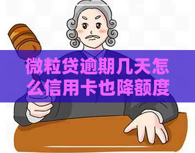 微粒贷逾期几天怎么信用卡也降额度