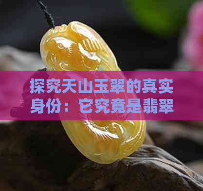 探究天山玉翠的真实身份：它究竟是翡翠还是其他？