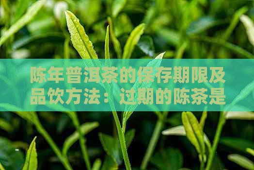 陈年普洱茶的保存期限及品饮方法：过期的陈茶是否还可以饮用？