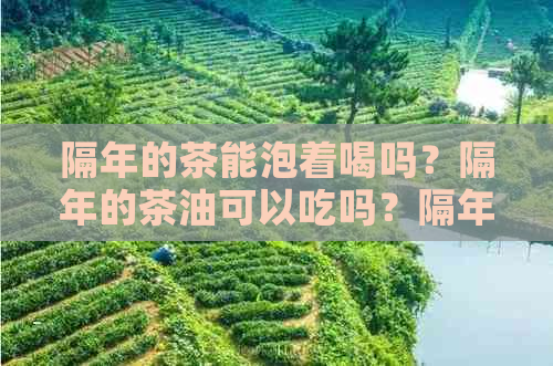 隔年的茶能泡着喝吗？隔年的茶油可以吃吗？隔年的茶叶送人可以吗？