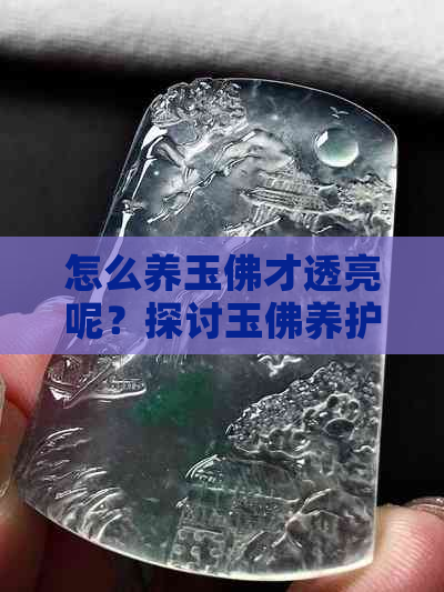 怎么养玉佛才透亮呢？探讨玉佛养护方法与技巧