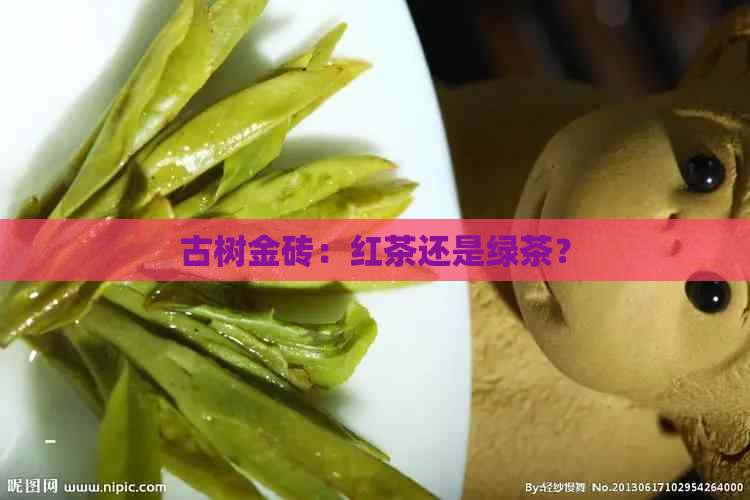 古树金砖：红茶还是绿茶？