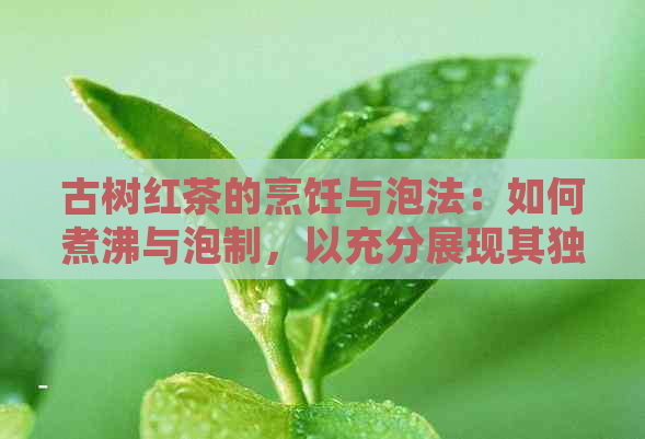 古树红茶的烹饪与泡法：如何煮沸与泡制，以充分展现其独特的风味？