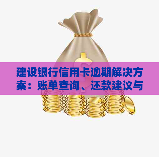 建设银行信用卡逾期解决方案：账单查询、还款建议与逾期处理流程一文解析