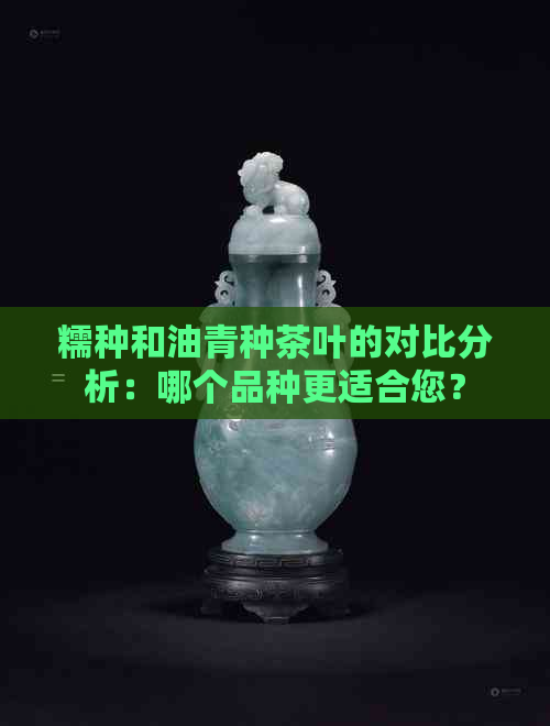 糯种和油青种茶叶的对比分析：哪个品种更适合您？