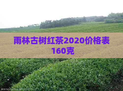 雨林古树红茶2020价格表 160克