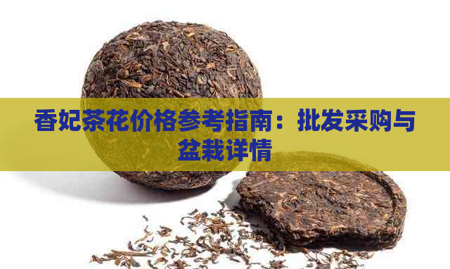 香妃茶花价格参考指南：批发采购与盆栽详情