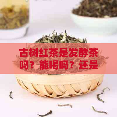 古树红茶是发酵茶吗？能喝吗？还是变质？属于生茶还是熟茶？