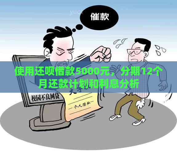 使用还呗借款5000元，分期12个月还款计划和利息分析