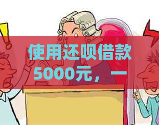 使用还呗借款5000元，一年内需支付的利息和还款总额是多少？