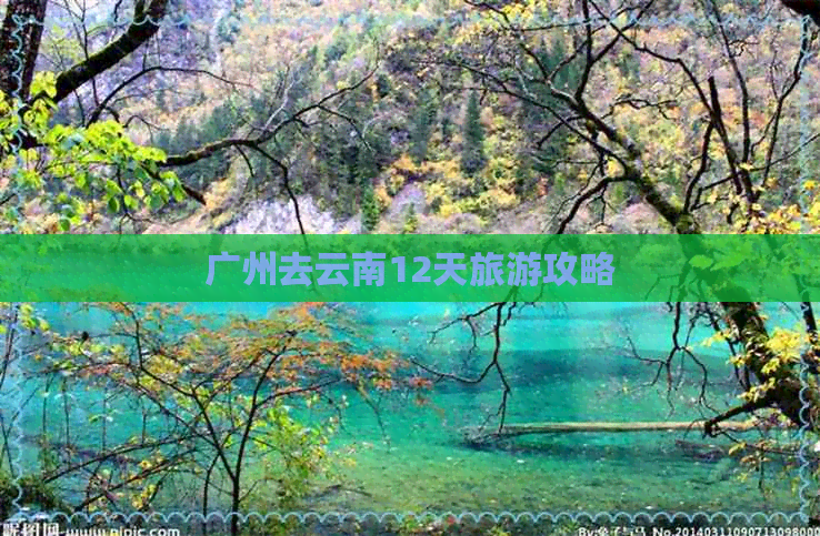 广州去云南12天旅游攻略