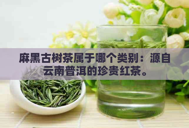 麻黑古树茶属于哪个类别：源自云南普洱的珍贵红茶。